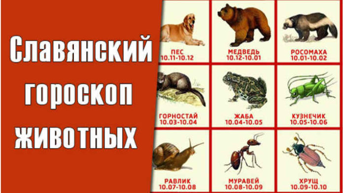 Старославянский Гороскоп По Годам Животные