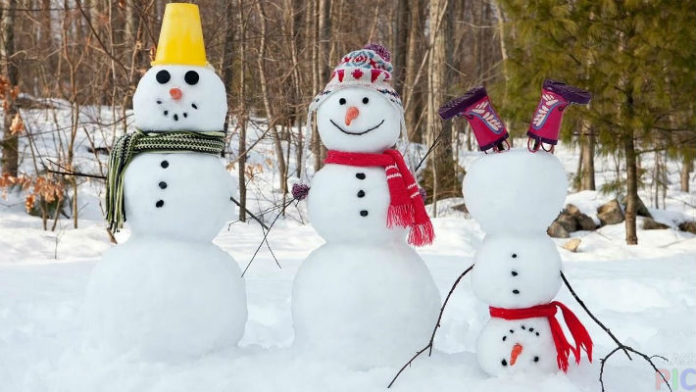 Забавный зимний тест: выберите снеговика и узнайте какая Вас ждет зима