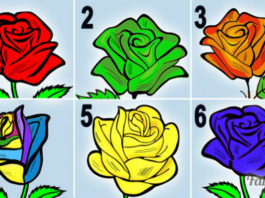 Выберите понравившуюся розу и узнайте секреты вашего характера