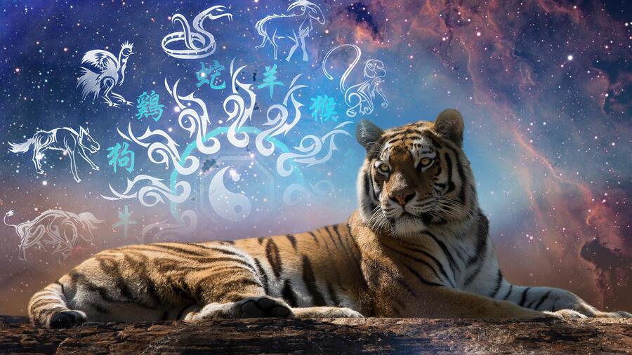 Восточный гороскоп на 2022 год - Год Черного (Голубого) Водяного Тигра.  Предсказания по знакам Восточного Зодиака